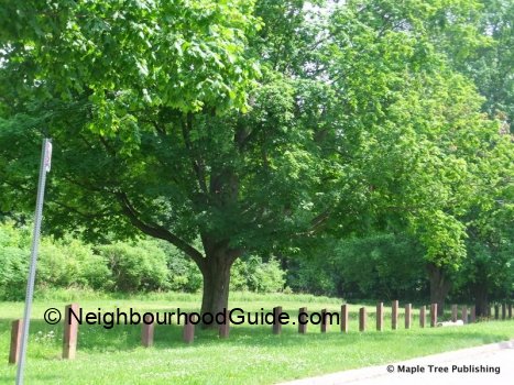 Toronto-Neighbourhood-Guide-Humber-Summit-Overview3 Toronto-Neighbourhood-Guide-Humber-Summit-Overview3