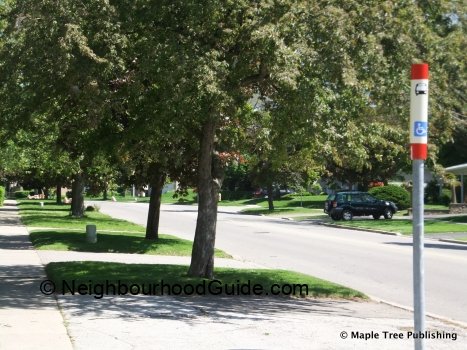 Toronto-Neighbourhood-Guide-Parkwoods-Overview3 Toronto-Neighbourhood-Guide-Parkwoods-Overview3