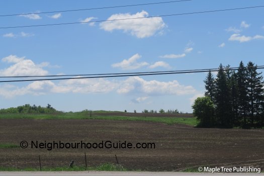 Toronto-Neighbourhood-Guide-Rural-King1