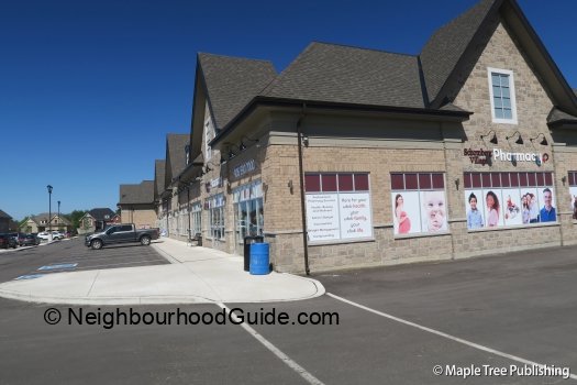 Toronto-Neighbourhood-Guide-Schomberg23 Toronto-Neighbourhood-Guide-Schomberg23