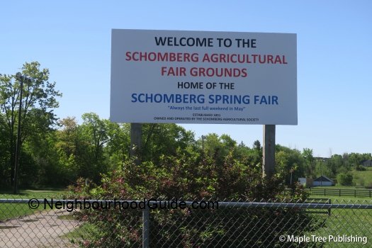 Toronto-Neighbourhood-Guide-Schomberg25 Toronto-Neighbourhood-Guide-Schomberg25
