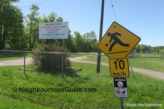 Toronto-Neighbourhood-Guide-Schomberg26 Toronto-Neighbourhood-Guide-Schomberg26