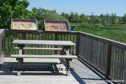 Toronto-Neighbourhood-Guide-Schomberg32 Toronto-Neighbourhood-Guide-Schomberg32
