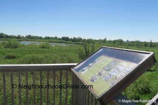 Toronto-Neighbourhood-Guide-Schomberg33 Toronto-Neighbourhood-Guide-Schomberg33