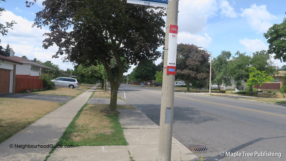 IMG_3923 IMG_3923