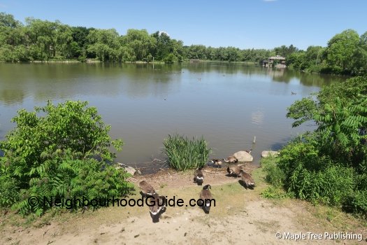 Toronto-Neighbourhood-Guide-Unionville49