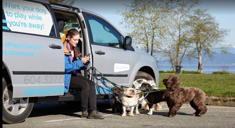 Group Dog Walker in Vancouver Canada 768x420
