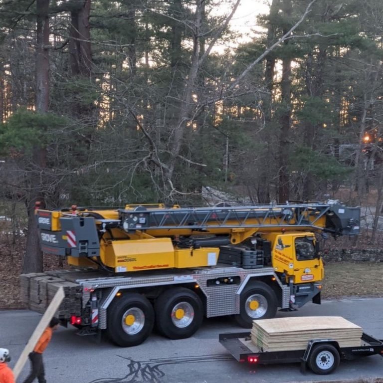 Uproot tree professional scarborough 768x768