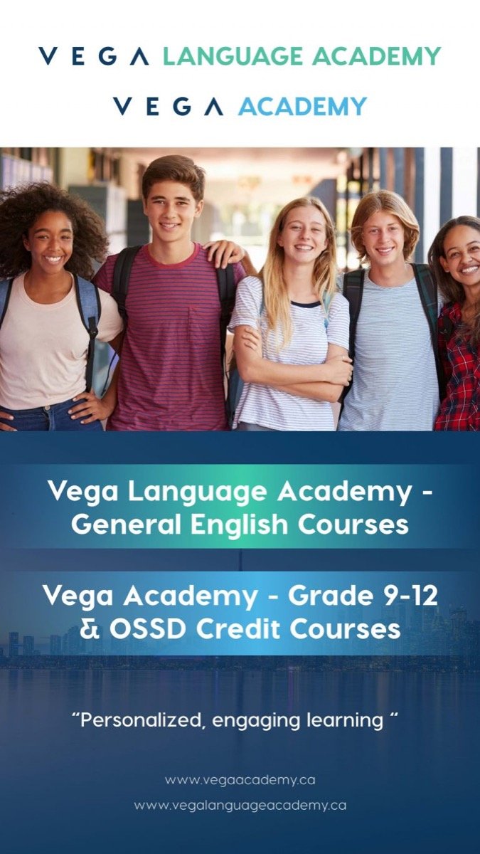 Vega Directory 2 768x1365