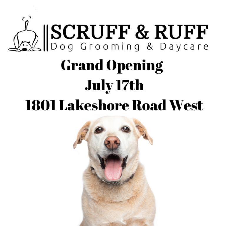 514396A7 661C 4472 9D7F 6276F9DE5061 768x768