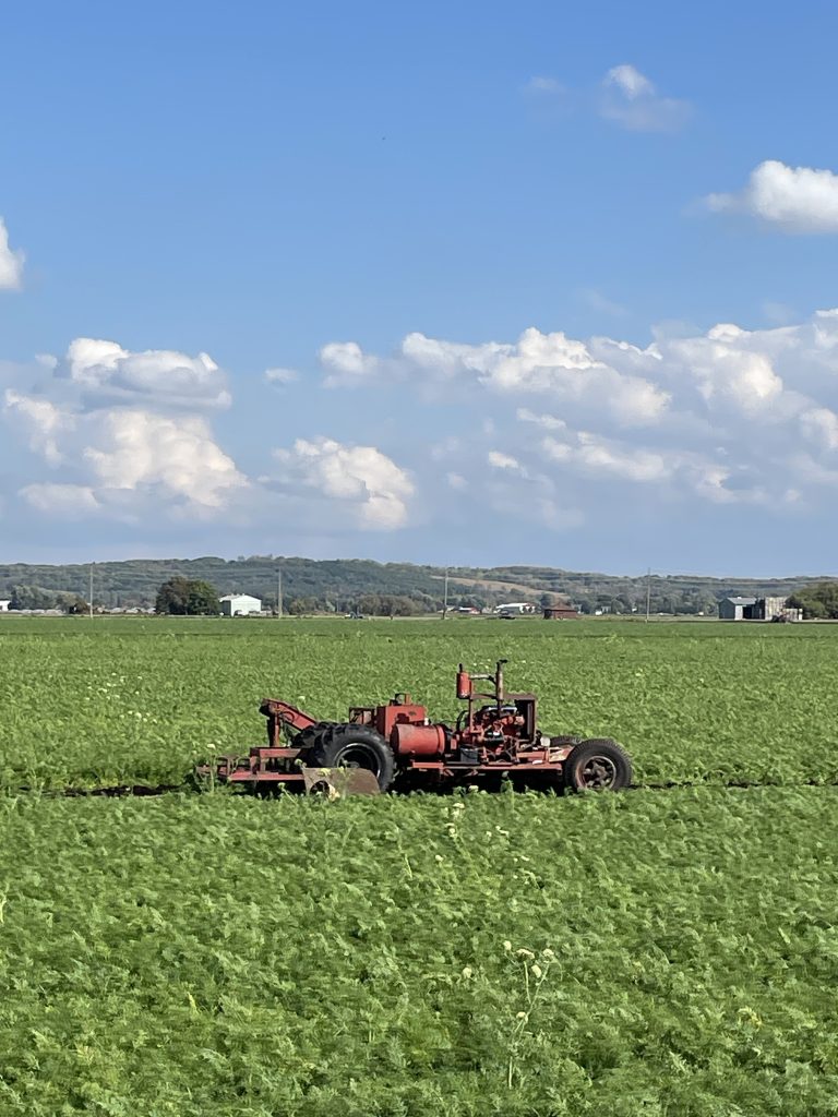 Neighbourhood Guide Visited The Holland Marsh Neighbourhood Guide
