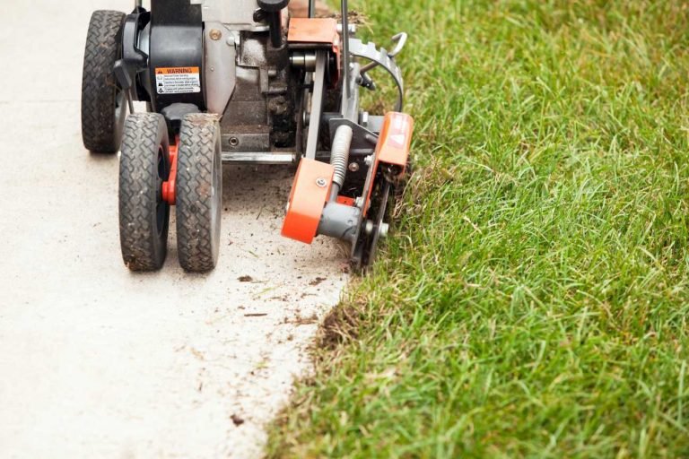 expert grass edging 1 768x512